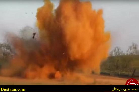 اخبارگوناگون,خبرهای گوناگون,گرازها %postname%