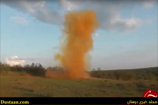 اخبارگوناگون,خبرهای گوناگون,گرازها %postname%