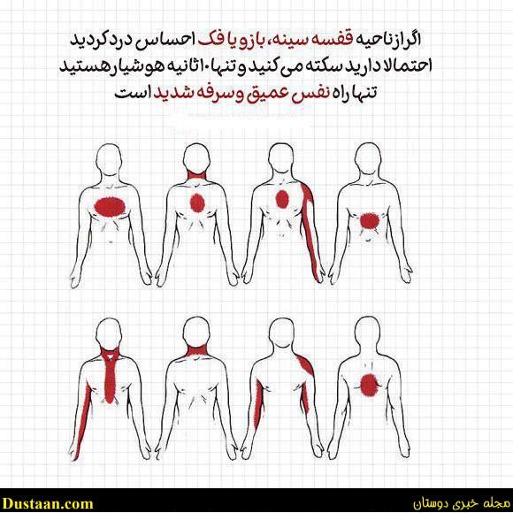 %d8%b9%d9%84%d8%a7%d8%a6%d9%85-%d9%87%d8%b4%d8%af%d8%a7%d8%b1-%d8%af%d9%87%d9%86%d8%af%d9%87-%d8%b3%da%a9%d8%aa%d9%87-%d9%82%d9%84%d8%a8%db%8c