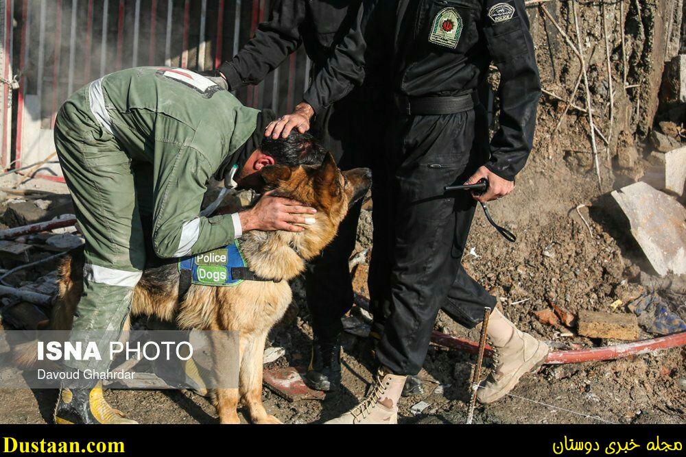 www.dustaan.com-تصویر: تشکر مامور آتش‌ نشانی از سگ زنده‌ یاب