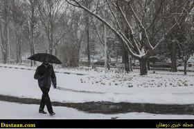 www.dustaan.com-گزارش تصویری از بارش برف در شهرهای مختلف کشور