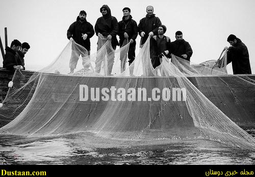 www.dustaan.com-dustaan.com-تصاویر دلنشین ماهیگیری در بندرانزلی