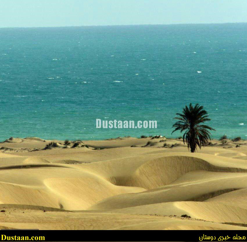 www.dustaan.com-dustaan.com-ایران