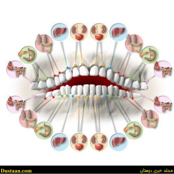 شخصیت‌شناسی جالب از روی شکل و شمایل دندان