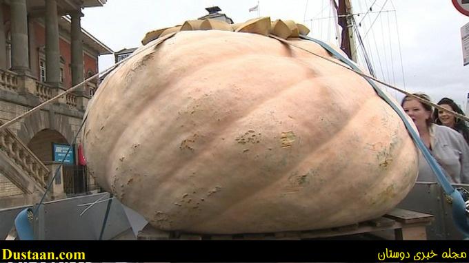 cafeturk-the-worlds-largest-pumpkin-0004