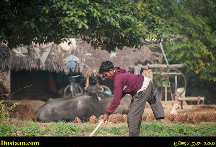 تصاویر/ مورد عجیب جوانِ چهارپا