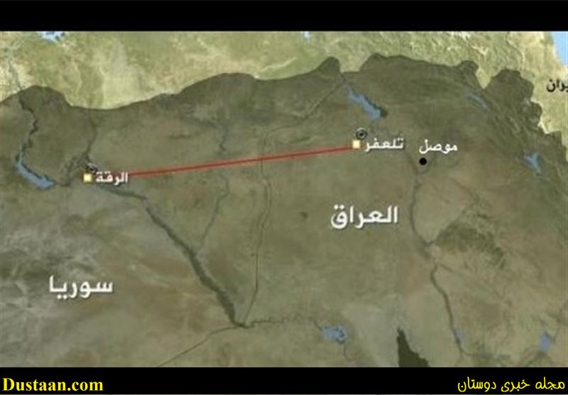 www.dustaan.com-استفاده داعش از ۶۰۰ سگ انتحاری برای عملیات تروریستی