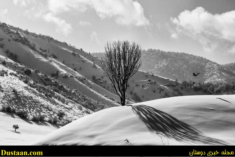 مناظر برفی کردستان