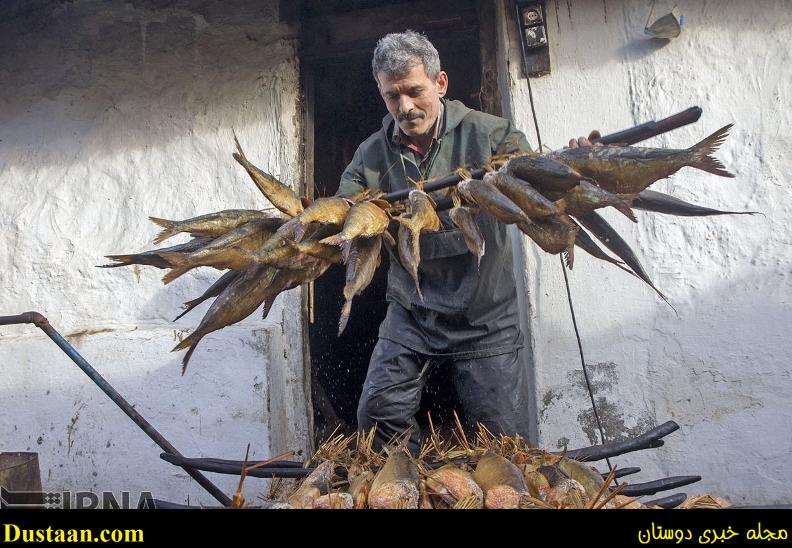 گزارش تصویری: مراحل دودی کردن ماهی