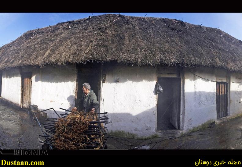 گزارش تصویری: مراحل دودی کردن ماهی