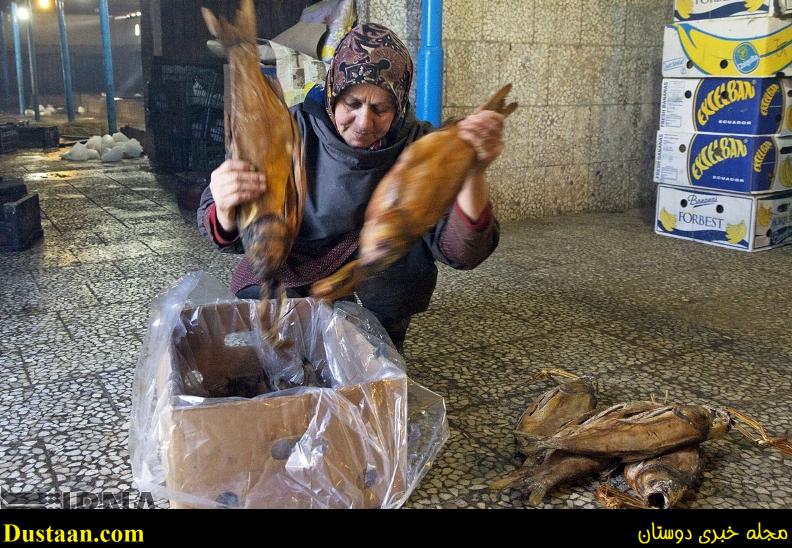 گزارش تصویری: مراحل دودی کردن ماهی