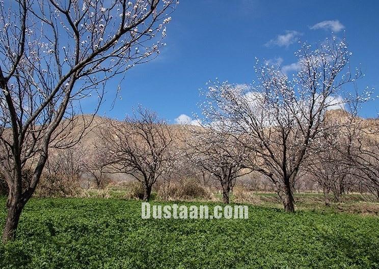 اخبار,انعکاس,طبیعت بهاری اردبیل