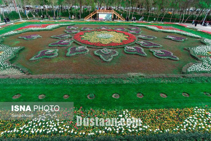 تصاویری از جشنواره لاله های البرز 