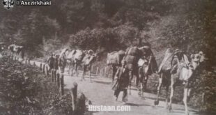 قافله شتر در جاده رشت