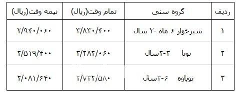   اخبار اجتماعی ,خبرهای اجتماعی,مهدهای کودک 