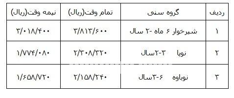   اخبار اجتماعی ,خبرهای اجتماعی,مهدهای کودک 