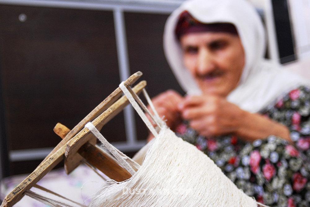 برداشت ابریشم در شمال ایران