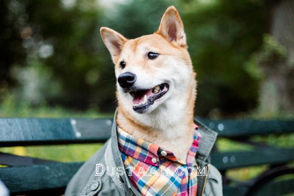 https://assets.fastcompany.com/image/upload/w_596,c_limit,q_auto:best,f_auto,fl_lossy/fc/3037084-inline-s-10-he-business-of-menswear-dog.jpg