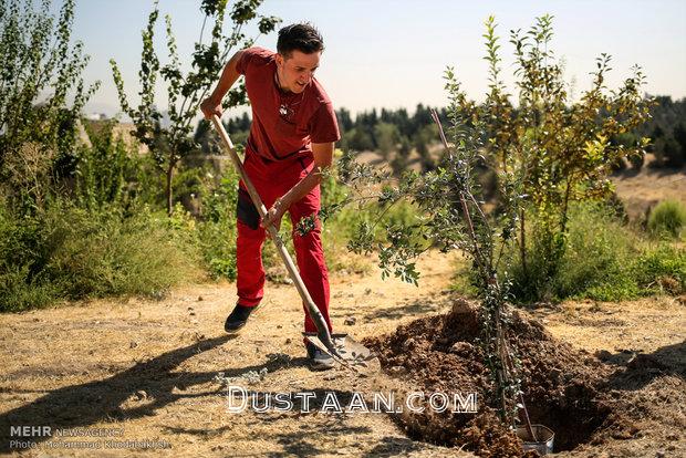 جهانگرد آلمانی: رانندگی‌ ایرانی‌ها عجیب و بامزه است!