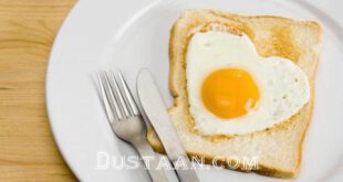 https://www.elmevarzesh.com/wp-content/uploads/eat-egg.jpg