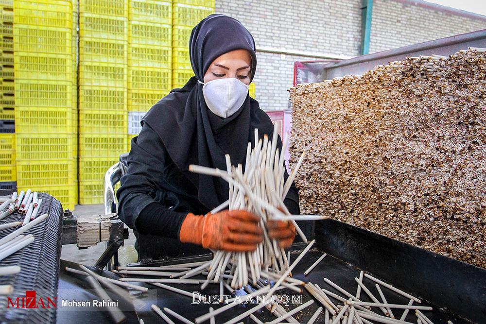 اخبار,اخبار گوناگون,کارخانه تولیدمداد