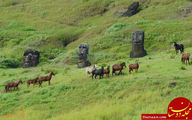 نمایی زیبا از مجسمه ها