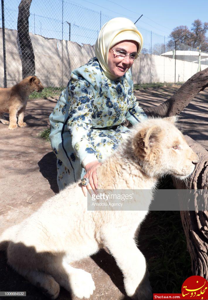 https://media.gettyimages.com/photos/turkish-president-recep-tayyip-erdogans-wife-emine-erdogan-strokes-a-picture-id1006684532