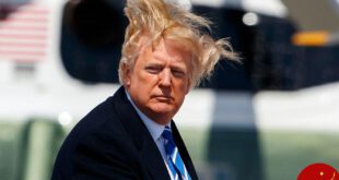 https://media.gq.com/photos/5ac68bdf0995d03672949444/3:2/w_880/trump-hair.jpg