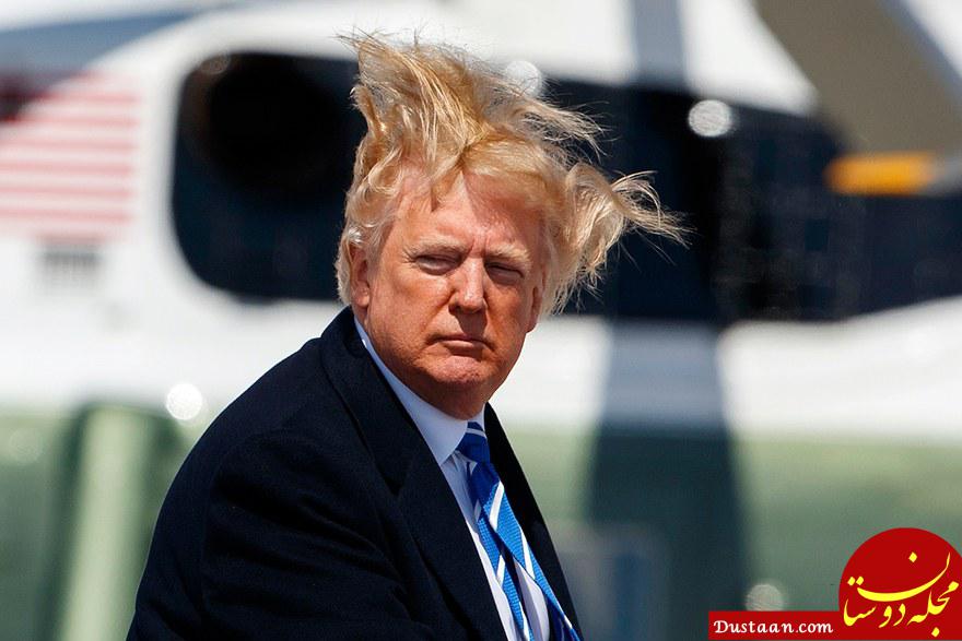 https://media.gq.com/photos/5ac68bdf0995d03672949444/3:2/w_880/trump-hair.jpg