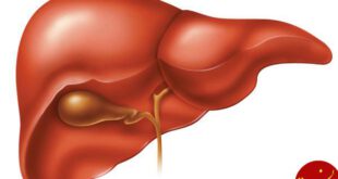 https://persian.epochtimes.com/wp-content/uploads/2017/11/liver.jpg