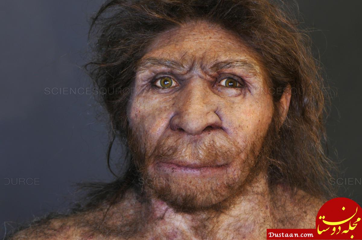 Homo heidelbergensis. Гельдербергский.