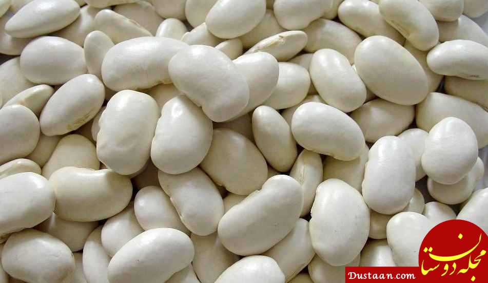 http://otanafoods.com/wp-content/uploads/white-bean-1.jpg