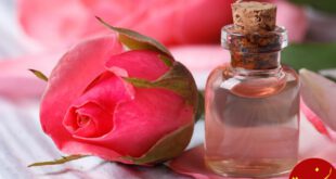 https://attarilajevardi.com/wp-content/uploads/2014/07/rose-water-in-small-glass-bottle-next-to-rose-flower.jpg