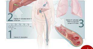 تاثیر ویتامین K در برابر ویروس کرونا